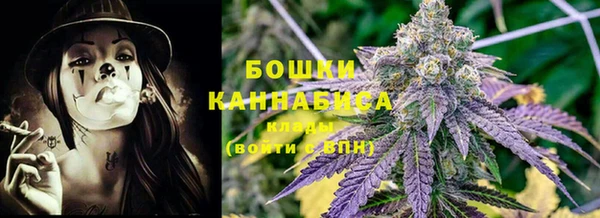 амф Майский